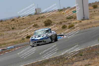 media/May-03-2025-Lucky Dog Racing (Sat) [[206de64b9d]]/Turn 6 (150pm-230pm)/